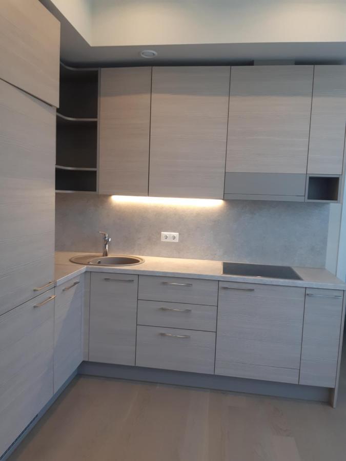 Apartment In Druskininkai City Centre المظهر الخارجي الصورة