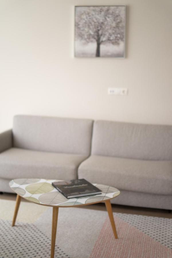 Apartment In Druskininkai City Centre المظهر الخارجي الصورة