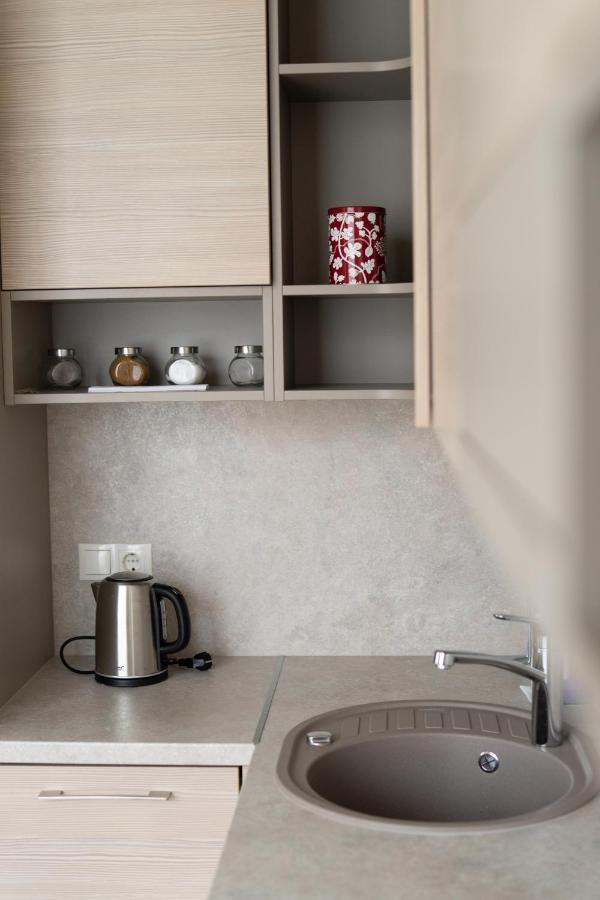 Apartment In Druskininkai City Centre المظهر الخارجي الصورة